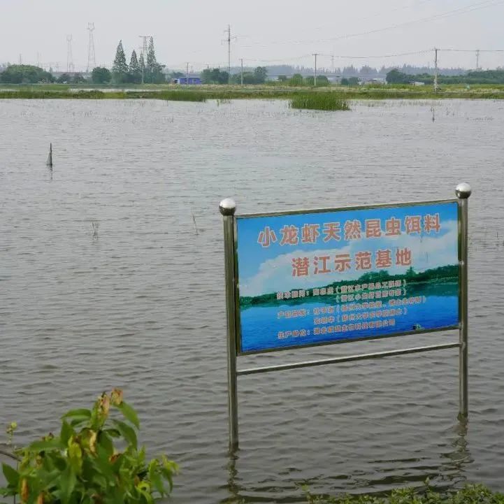 世界杯小机关_世界杯小机关_世界杯小机关